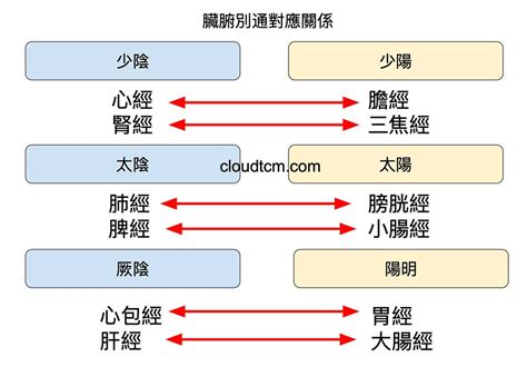 五行按摩|從經絡臟腑別通的對應關係，找出6組神效的穴道配。